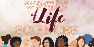 Landing-WoLS-300 Landing-WoLS-300